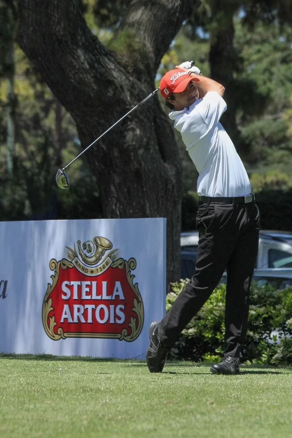 Nicolás Tribucio