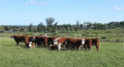 Aumentó precio de la tierra luego de dos años en caída