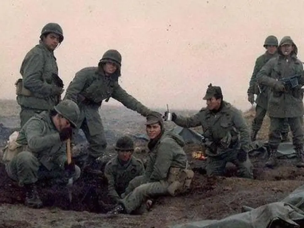 Fuerzas Armadas Argentinas en las islas Malvinas