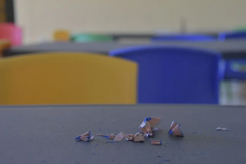 Colegios pierden alumnos al tiempo que ganan en metros cuadrados sin uso.