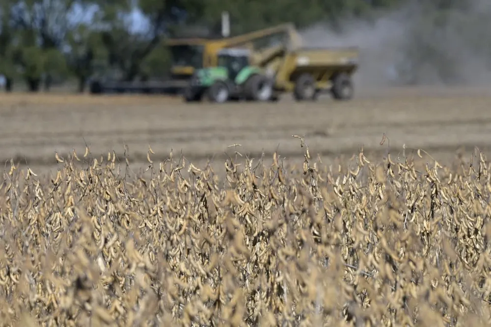 Las cotizaciones de soja, trigo y maíz operaron el viernes con una leve recuperación de precios en el mercado de Chicago.