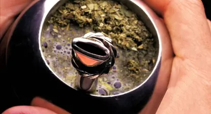 Yerba mate