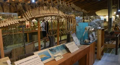 El Observador | 0023643905.webp