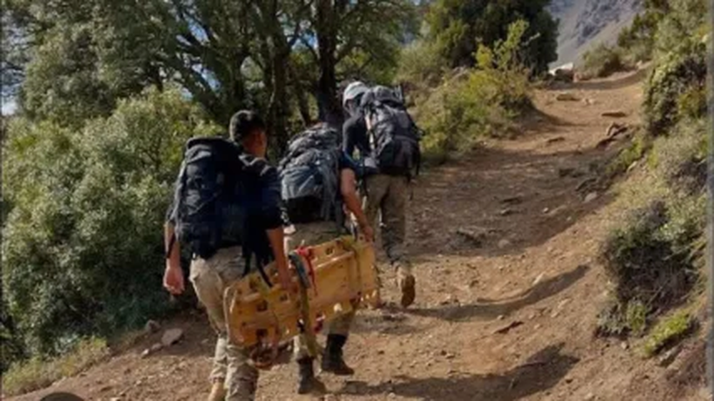 Turistas El Bolsón.webp