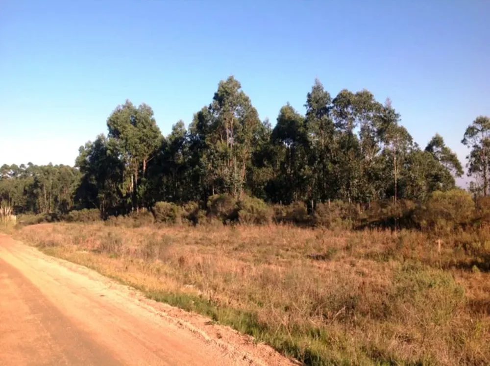 La superficie a forestar alcanza a 2.357 hectáreas, divididas en 10 establecimientos