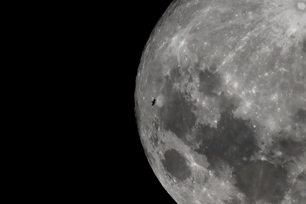 Luna llena. ARGENTINA-ASTRONOMY-MOON The silhouette of a bird is seen against a full moon over Buenos Aires on January 14, 2025. LUIS ROBAYO / AFP
