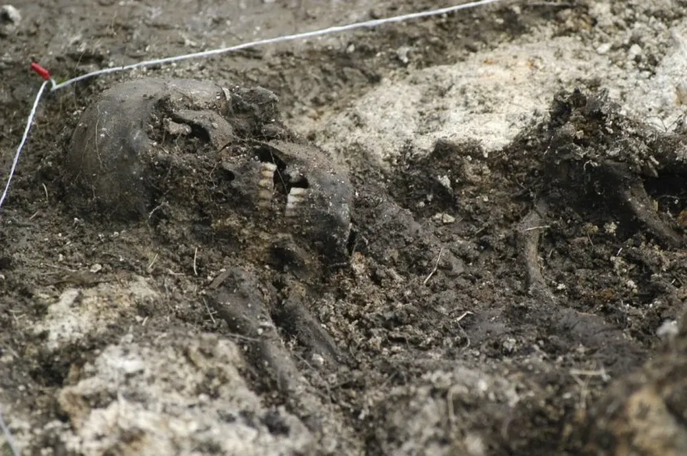 0006560497.webp