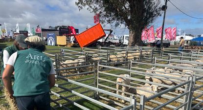 El Observador | WhatsApp Image 2026-04-17 at 14.21.21