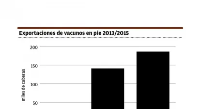 El Observador | 0003194423.webp