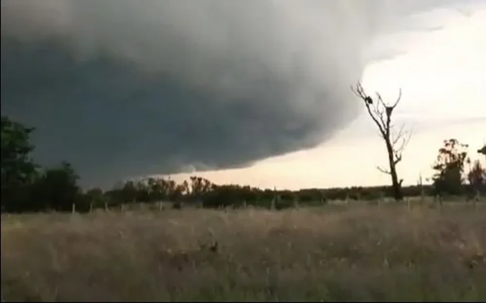Captura del video registrado por Pedro Olivera
