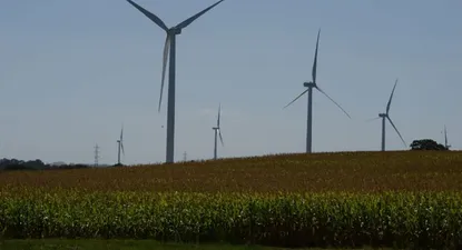 ¿En qué está la megainversión de US$ 4.000 millones para producir gasolina verde en Paysandú?