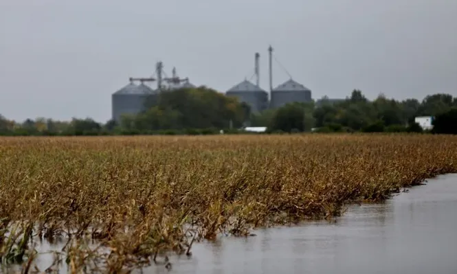 Las intensas lluvias que se prevén para el fin de semana pueden inundar campos agrícolas
