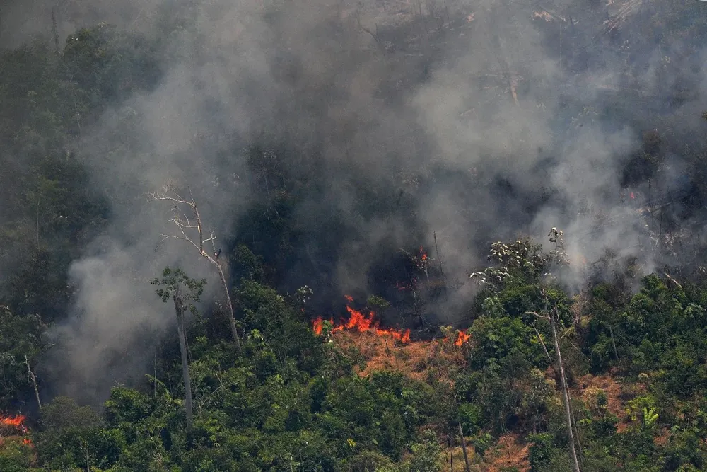 Imagen aérea tomada este viernes en la selva amazónica, a 65 kilómetros de la ciudad de Porto Velho