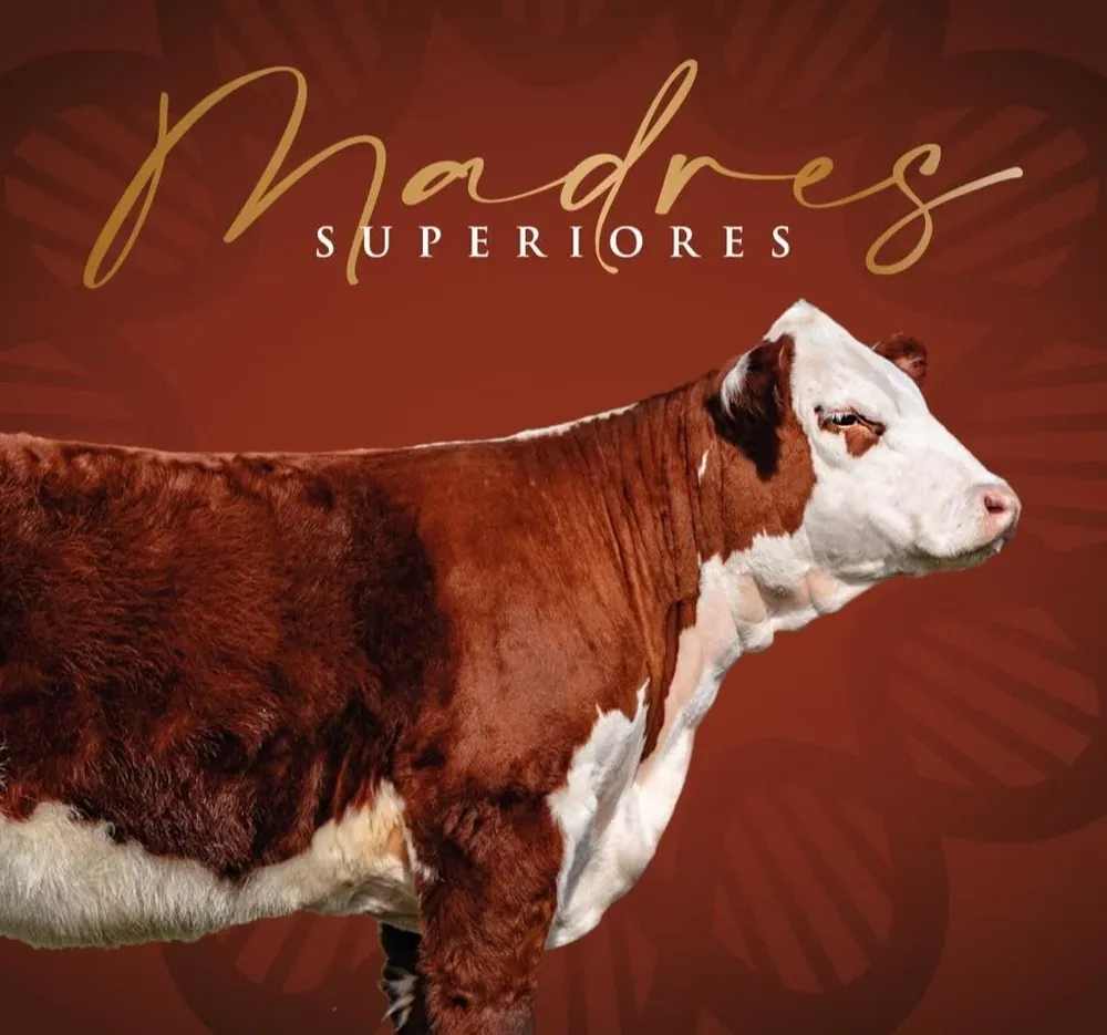 El remate de Madres Superiores se hará en el Centro de Convenciones de Punta del Este.