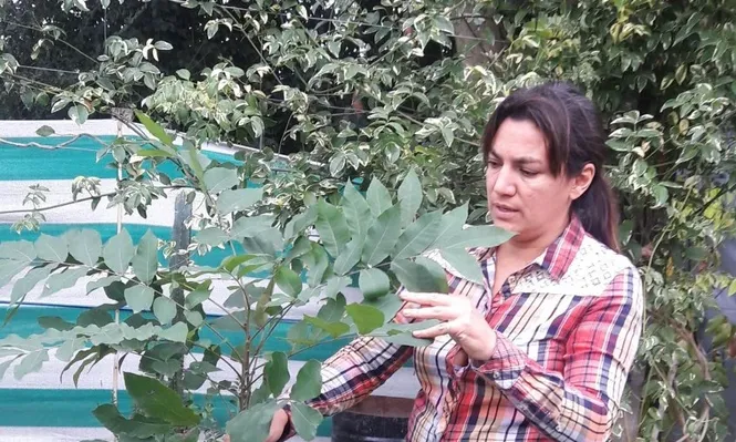 Ana Laura Sastre, junto a Luis López, dirige el vivero Imperio Verde.