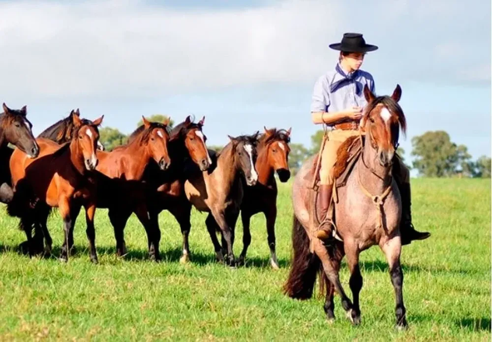 El remate se realizará de forma virtual.