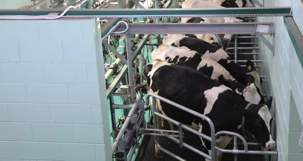 La competencia de las empresas por la materia prima debería sustentar el alza del precio