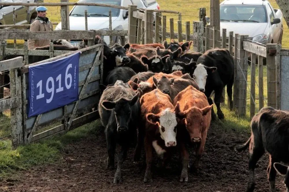 La próxima venta será el miércoles 17 en Molles