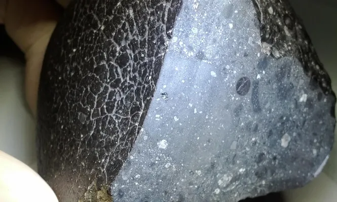 Científicos celebran el hallazgo de un raro ejemplar de roca marciana