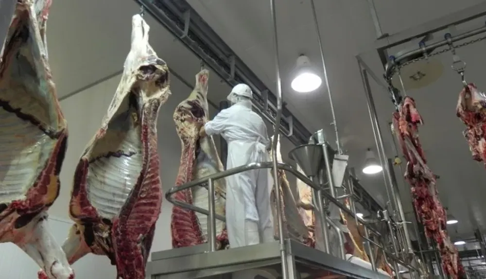 Otra oportunidad se le presenta a la carne uruguaya en China.