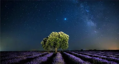 El Observador | 1630439666862.webp