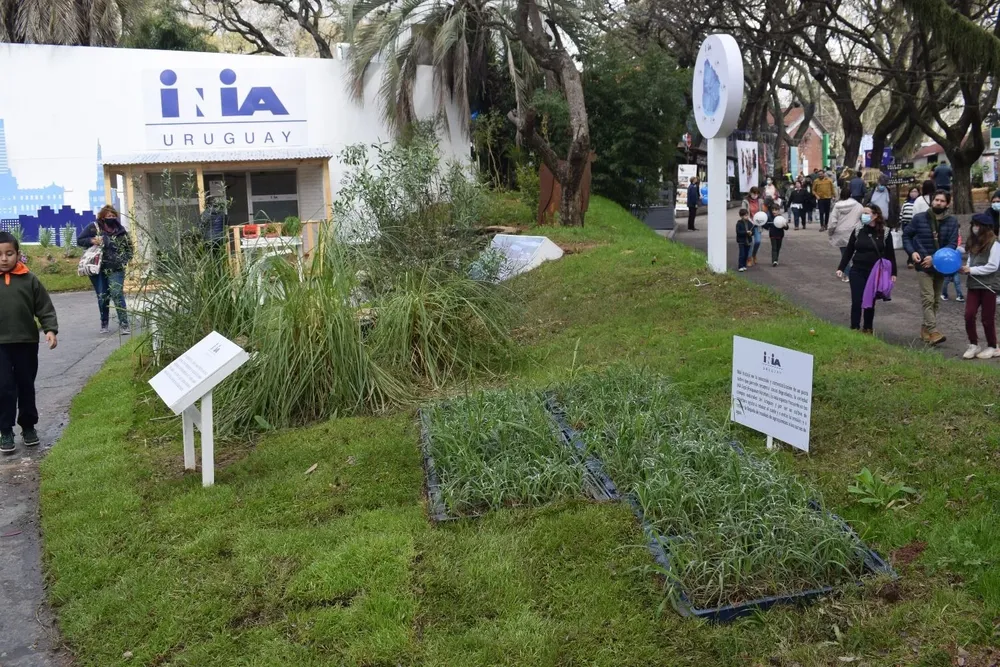 Representantes del INIA fueron al Parlamento para pedirle al Estado ayudas económicas.