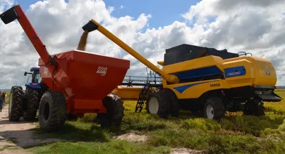 El Observador | 0024978815.webp