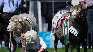 La Expo Prado 2022 comenzará el 9 de setiembre.