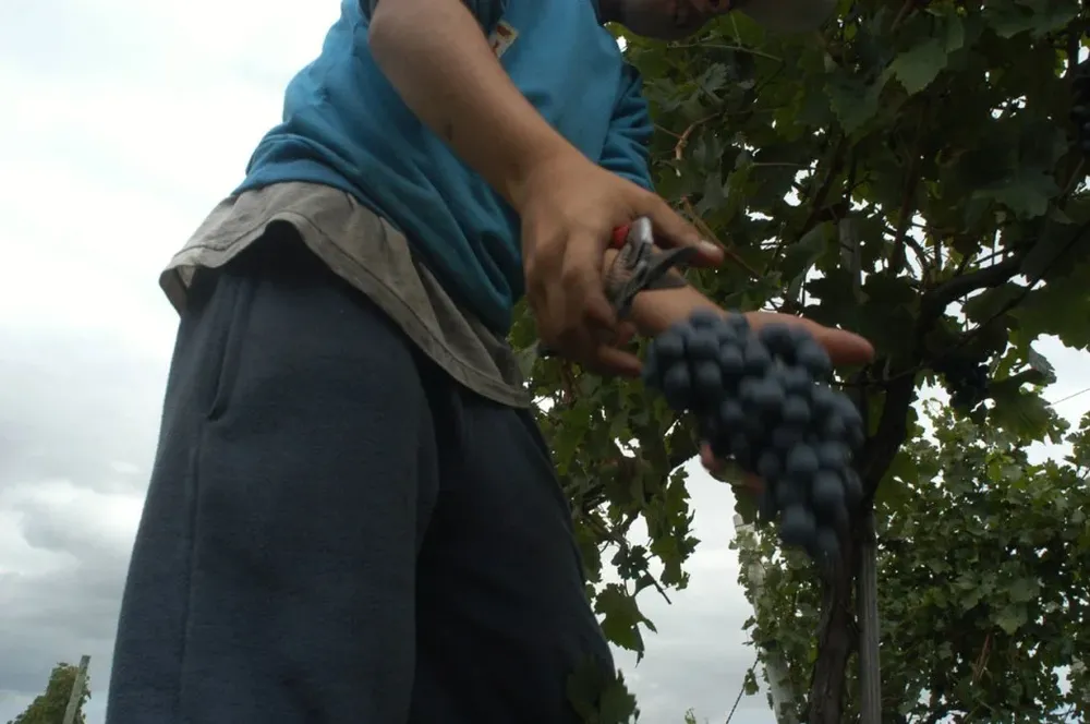 Una movida estratégica