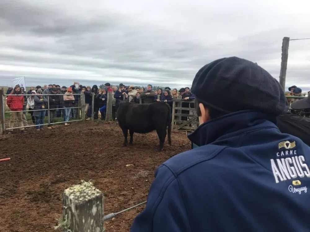 Las charlas cumplieron perfectamente con los objetivos y las expectativas de la gente.