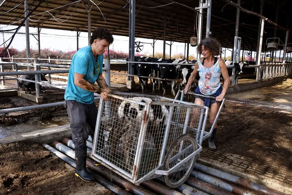 Producción en tiempos de guerra.