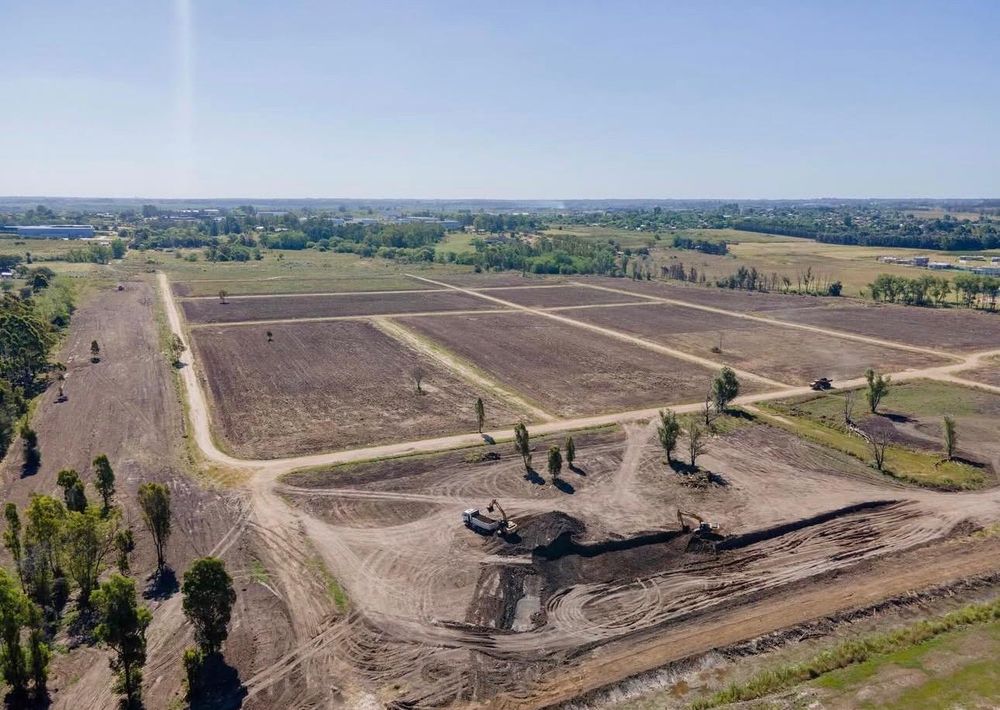 La Carlotta, Balsa & Asociados