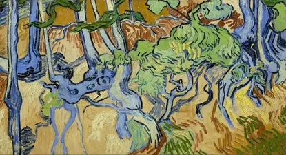 El Observador | 1596227413158.webp