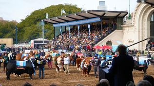 Milei calificó a Villarruel de traidora bruta y de genocidas a los que no acompañen el veto