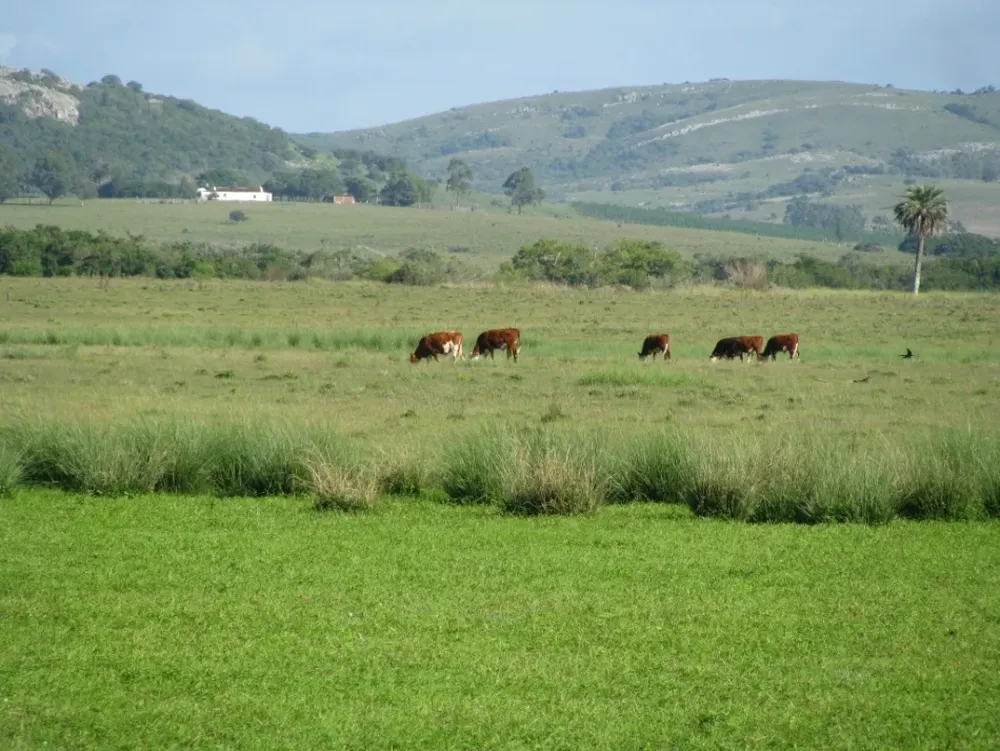Severas críticas a la retroactividad de nuevo impuesto a la tierra