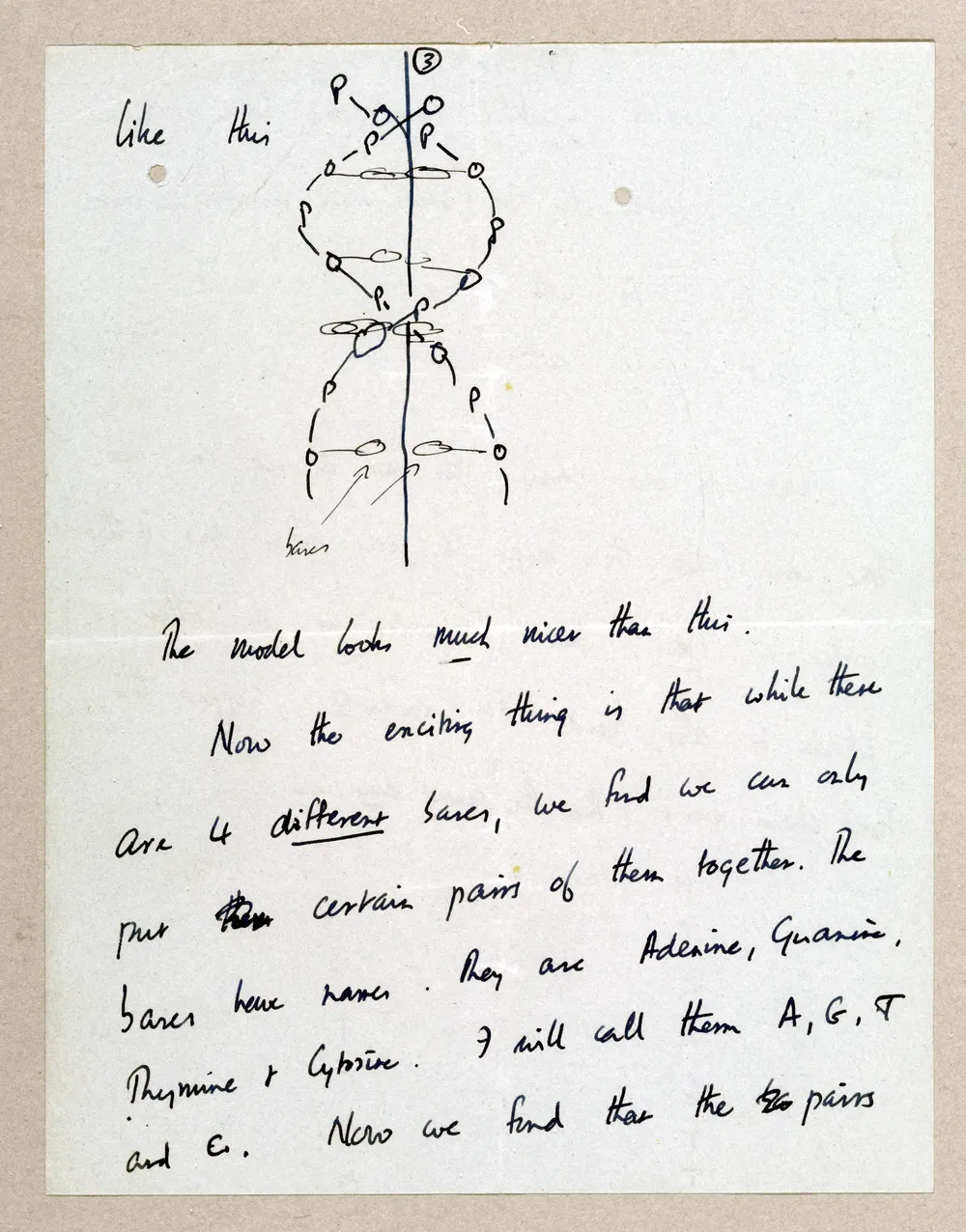 Hace 60 años, Crick envió esta carta de siete páginas a su hijo Michael, que entonces tenía 12 años, en la que le explicaba en qué consistía el ácido desoxirribonucleico (ADN) y enumeraba las bases que lo componían (adenina, citosina, guayamina, timina)