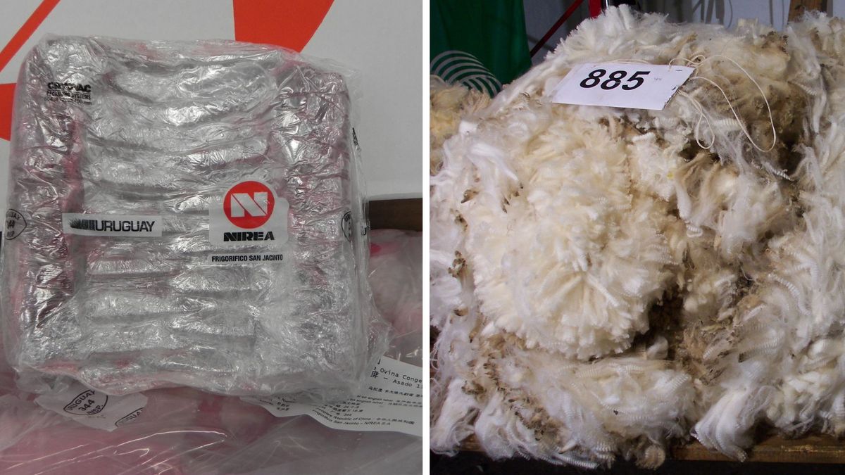 En ocho meses Uruguay exportó lana y carne ovina por casi US$ 150 millones con cuatro mercados traccionando
