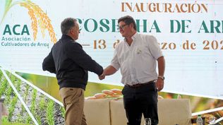 Arroz, un sector agrícola que cada año estrena su cosecha con un acto oficial; esta vez, en un campo en Treinta y Tres, Guillermo OBrien dio la bienvenida al presidente Yamandú Orsi.&nbsp;