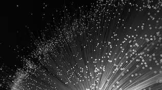 Asegurarán monopolio de ANTEL en conexiones a internet con fibra óptica