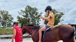 Los caballos que están en el centro de equinoterapia fueron donados.