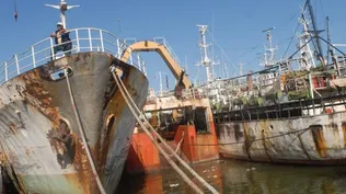 En el primer semestre de 2011 aumentaron las exportaciones de pescado