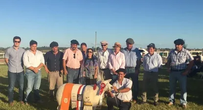 nacional del texel reflejo el buen nivel de la raza en uruguay