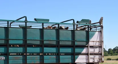 menor demanda industrial y caos por lluvias achicaron la faena