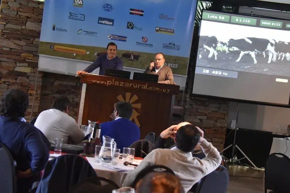 Intensa actividad en el Cottage y también a distancia.