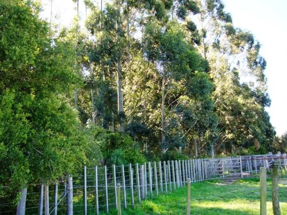 El remate judicial es sin base en dólares americanos