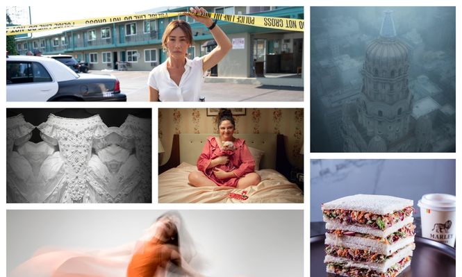 Los recomendados de Picnic de esta semana