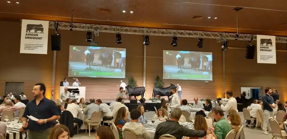 La actividad de Angus Uruguay se realizó en el Centro de Convenciones de Punta del Este.
