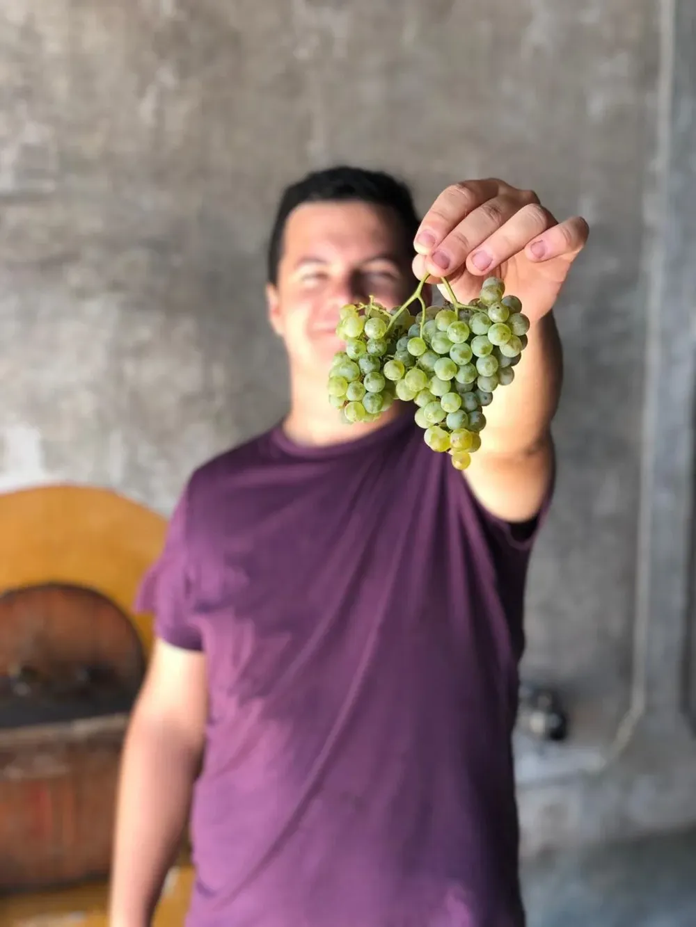 Martín Viggiano, bodega Cerro del Toro