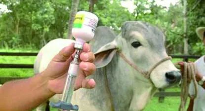 El Observador | 1556147986532.webp