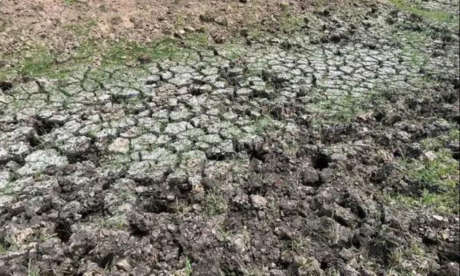 El campo sufre un déficit hídrico por tercer año consecutivo.